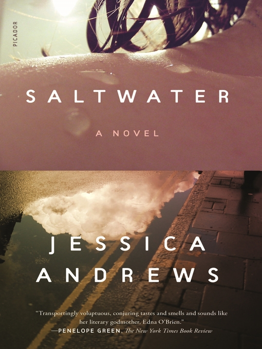 Title details for Saltwater by Jessica Andrews - Wait list